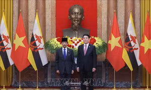 Tuyên bố chung Việt Nam - Brunei Darussalam