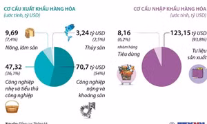  5 tháng năm 2021: Kim ngạch xuất nhập khẩu đạt hơn 262 tỷ USD