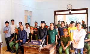 Xét xử vụ án gây rối trật tự công cộng tại Tuy Phong, Bình Thuận