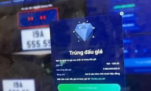 Trên 2.723 tỷ đồng nộp ngân sách Nhà nước sau 4 phiên đấu giá biển số xe ô tô