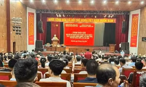 Hà Nội: Làm rõ việc 'đẩy giá' đất tại một số phiên đấu giá gần đây