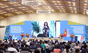 Việt Nam là tấm gương thành công trong thực hiện các mục tiêu phát triển bền vững