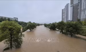 Mưa lớn hoành hành phía Nam Hàn Quốc