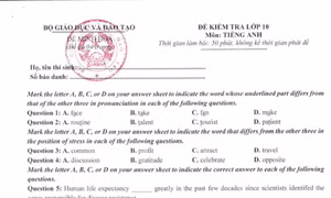 Kỳ thi tốt nghiệp THPT từ 2025: Đề thi minh họa các môn Ngoại ngữ
