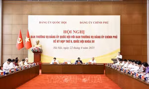 Trao đổi, thống nhất chỉ đạo nội dung, chương trình và cách thức tiến hành Kỳ họp thứ 9