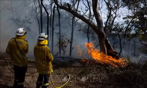 Australia: Bang New South Wales ghi nhận gần 400 vụ cháy rừng trong vòng 7 ngày 