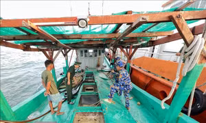 Phát hiện tàu vận chuyển khoảng 10.000 lít dầu DO không rõ nguồn gốc