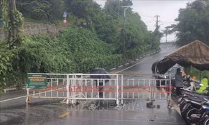 Tạm dừng phương tiện lưu thông lên bán đảo Sơn Trà