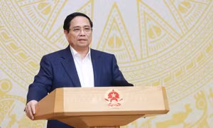 Kiện toàn Ban Chỉ đạo thực hiện thí điểm một số chính sách đặc thù phát triển TP Hồ Chí Minh