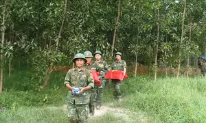 Quảng Trị: Quy tập 10 hài cốt liệt sĩ Trung đoàn 88 tại Câu Nhi