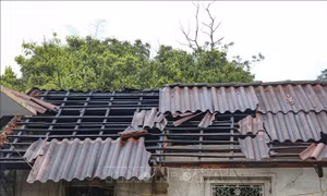 Đêm 25/4, Tây Bắc, Việt Bắc có nơi mưa rất to, đề phòng lũ quét, sạt lở đất 