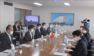 Thúc đẩy hợp tác kinh tế giữa các địa phương với tỉnh Niigata của Nhật