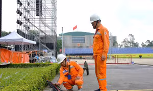 EVN rà soát đảm bảo điện phục vụ Đại lễ kỷ niệm 80 năm Quốc khánh
