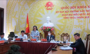 Sửa đổi, bổ sung luật để kịp thời tháo gỡ vướng mắc về cơ chế, chính sách