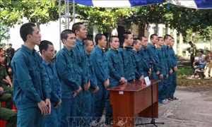 Phạt tù 15 đối tượng gây rối trật tự công cộng tại huyện Bắc Bình, Bình Thuận