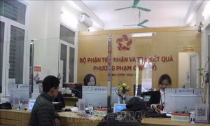 Trường hợp không tái cử khi tinh gọn bộ máy để nghỉ hưu trước tuổi năm 2025 thì chế độ ra sao?