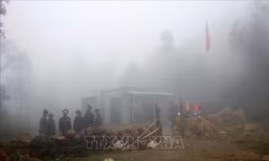 Bộ đội Biên phòng Lai Châu 'ăn núi, ngủ rừng' trong giá rét để làm nhiệm vụ