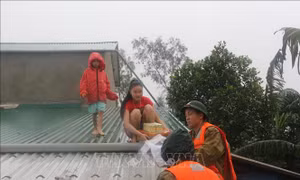 Nỗ lực giúp người dân vùng lũ huyện Hưng Nguyên, Nghệ An