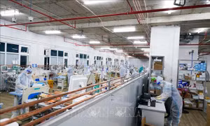 Không bố trí nhân viên y tế có bệnh nền, mang thai trực tiếp điều trị COVID-19