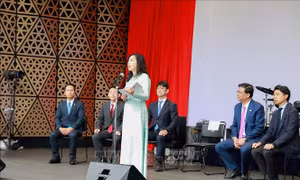 Khai mạc Lễ hội Việt Nam tại thủ đô Tokyo của Nhật Bản