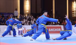 Vovinam, Pencak Silat mang thêm huy chương về cho Đoàn Thể thao Việt Nam