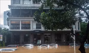 Indonesia: Trên 1.600 người phải sơ tán vì ngập lụt ở Jakarta