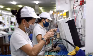 Tiếp thêm 'nguồn oxy trong lành' cho doanh nghiệp, người dân