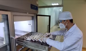 Ngân hàng máu ở ĐBSCL tiếp nhận thêm 1.250 đơn vị máu