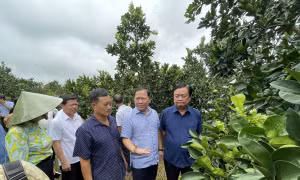 Khảo sát, kiểm tra thực hiện chương trình xây dựng nông thôn mới tại Yên Thủy, Hoà Bình