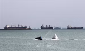 Vụ tàu mắc kẹt ở kênh đào Suez: Hàng trăm tàu lưu thông trở lại