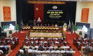 Phú Yên: Huyện Đồng Xuân đẩy mạnh cơ cấu nông nghiệp gắn với xây dựng nông thôn mới