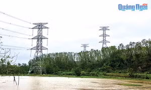 Dự án đường dây 500kV mạch 3 đoạn Dốc Sỏi – Pleiku 2 trên đường về đích
