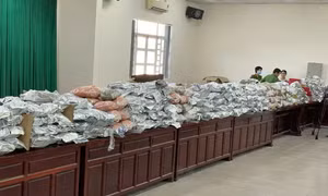 Bắt đường dây vận chuyển 2 tấn cần sa từ nước ngoài về Việt Nam