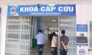 20 trẻ mầm non ở Lai Châu phải cấp cứu nghi do ăn nhầm thuốc diệt chuột