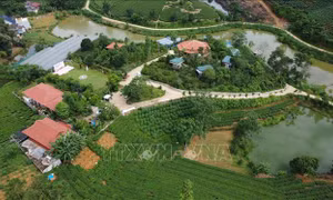 Chương trình mục tiêu quốc gia 1719 - Bài 1: Tạo sức bật cho vùng khó khăn