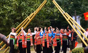 Chuỗi hoạt động trưng bày, triển lãm, biểu diễn nghệ thuật tôn vinh giá trị lịch sử dân tộc