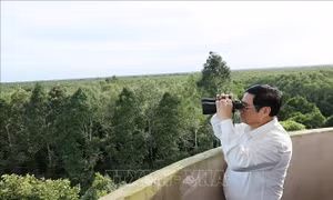 Thủ tướng Phạm Minh Chính thăm, làm việc tại Hậu Giang