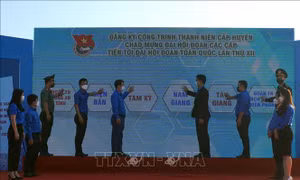 Tháng thanh niên 2022: Tuổi trẻ Quảng Nam thực hiện nhiều công trình ý nghĩa 