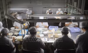Kiên Giang quyết không để kinh tế tăng trưởng âm
