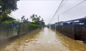 Thừa Thiên - Huế: Tập trung khắc phục hậu quả mưa lũ trái mùa
