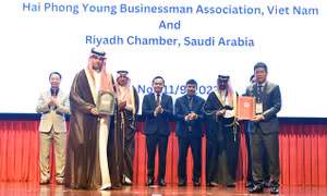 Quyết tâm đưa quan hệ hợp tác kinh tế Việt Nam - Saudi Arabia lên tầm cao mới