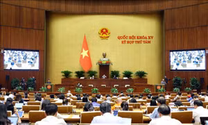 Kỳ họp thứ 8, Quốc hội khóa XV: Bàn cơ chế và nguồn lực bảo tồn di sản văn hóa