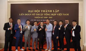 Ra mắt Liên đoàn Võ thuật tổng hợp Việt Nam