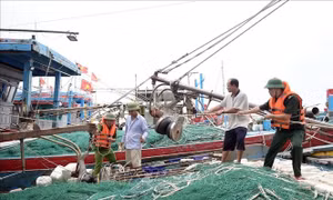 Ninh Bình: Tạm dừng hoạt động các tuyến đò, không cho tàu, thuyền ra khơi từ 21/7