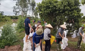 Khắc phục kịp thời sự cố của hệ thống thủy lợi Bắc Hưng Hải do bão số 4 gây ra