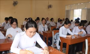 Sau sắp xếp, tỉnh Cà Mau giảm hơn 50% cơ sở giáo dục công lập