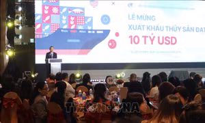 Kinh tế 2024- Dự báo 2025: Xuất khẩu thuỷ sản về đích 10 tỷ USD