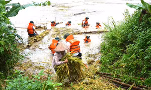 Hà Giang: Huy động hàng trăm cán bộ, chiến sỹ giúp nhân dân khắc phục hậu quả mưa lũ