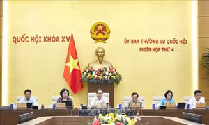Rà soát quy định về trách nhiệm của các bộ, ngành trong phòng, chống rửa tiền