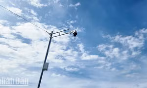 Lắp đặt camera giám sát hành vi vi phạm môi trường tại Phú Quốc